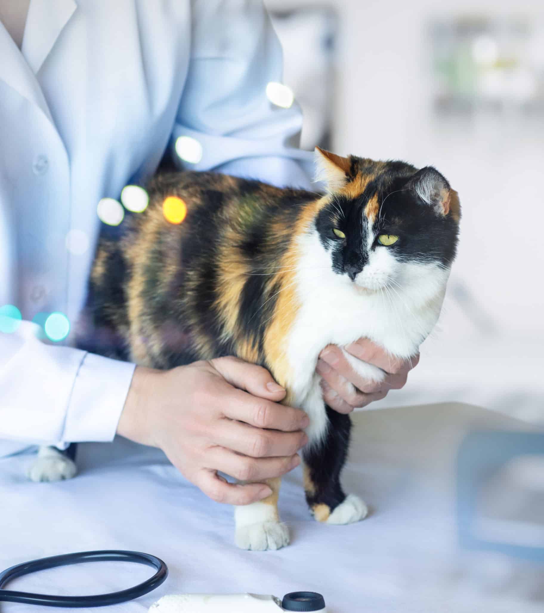 From Scheduling to Results What to Expect at Your Clinic